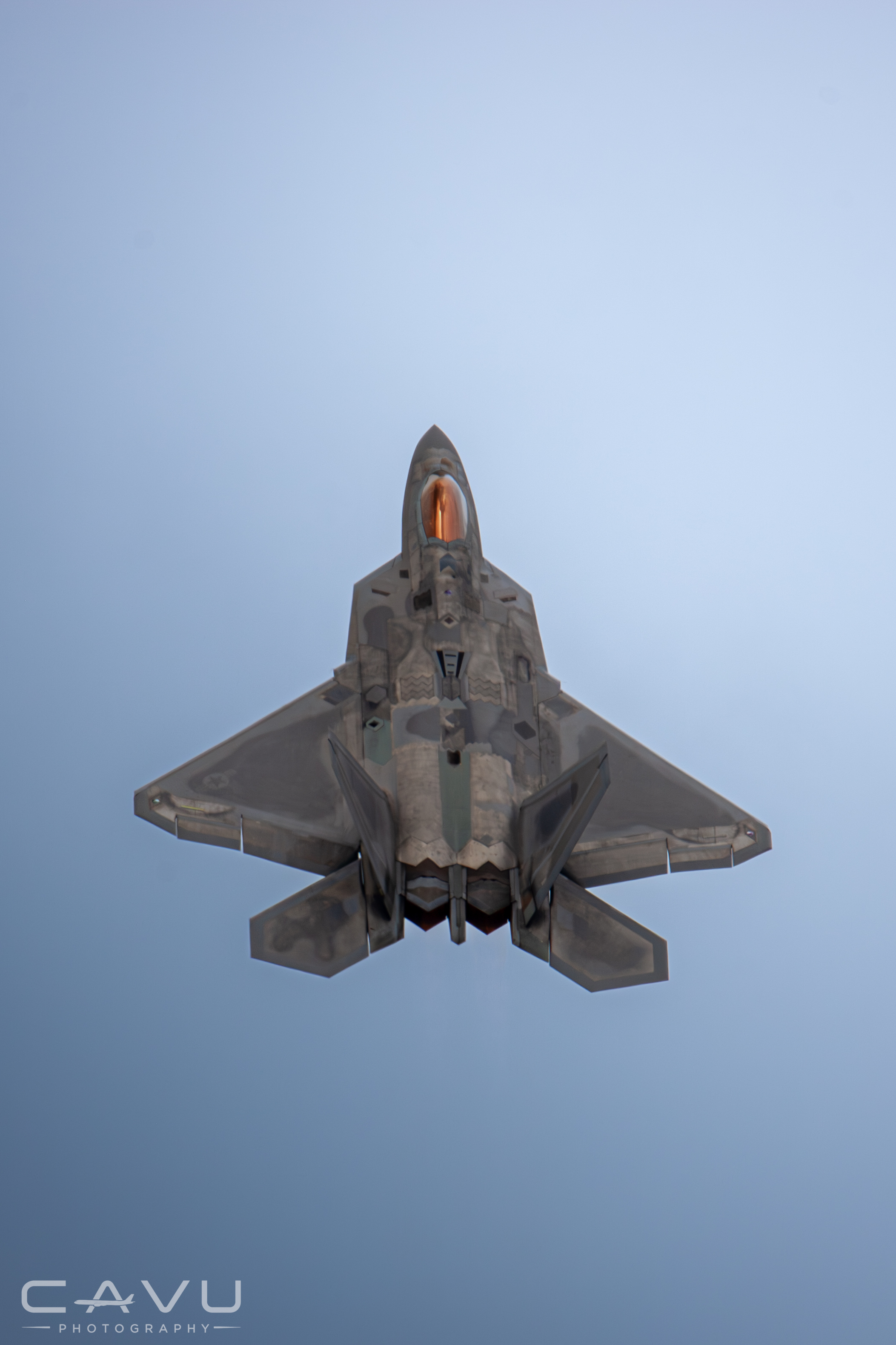 F-22 Back